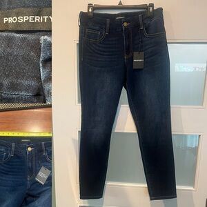 Stylish Women's Straight Leg Jeans in Classic Blue